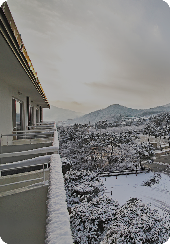 지산리조트 스키장의 슬로프 전경