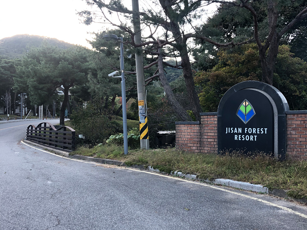 스키장 진입로 사진