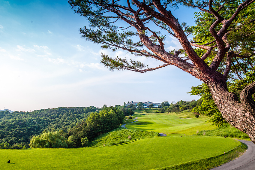 지산 컨트리 클럽 전경 1