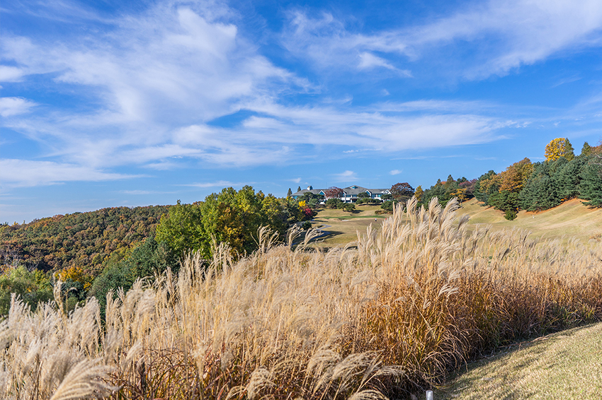 지산 컨트리 클럽 전경 3