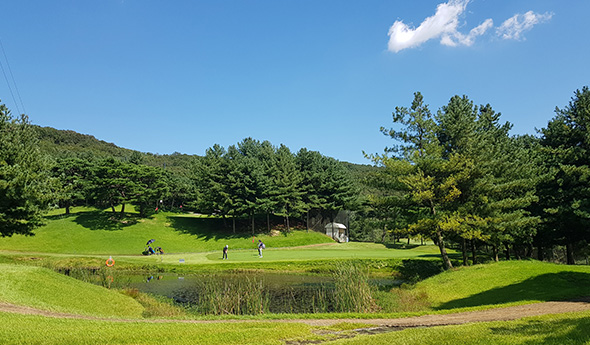 퍼블릭 코스 전경 2